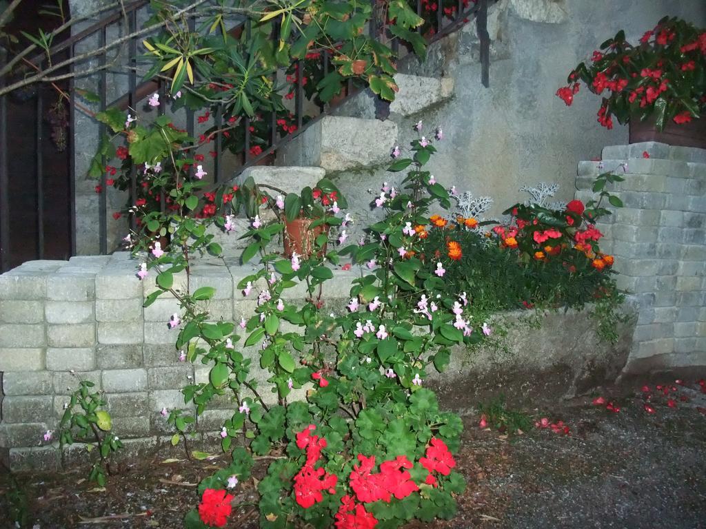 Le Domaine Du Grand Cellier Chambres D'Hotes En Savoie Tournon-sur-Rhône Εξωτερικό φωτογραφία