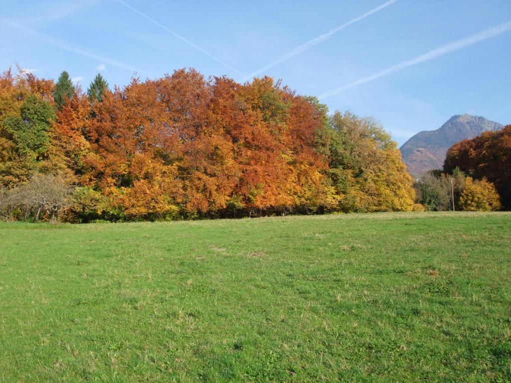 Le Domaine Du Grand Cellier Chambres D'Hotes En Savoie Tournon-sur-Rhône Εξωτερικό φωτογραφία